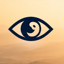 Vision icon